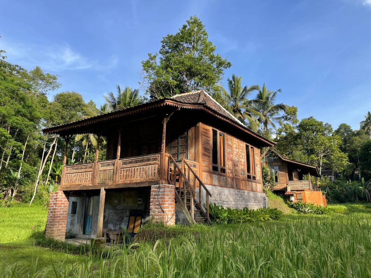 Lodge Oemah Tepi Sawah