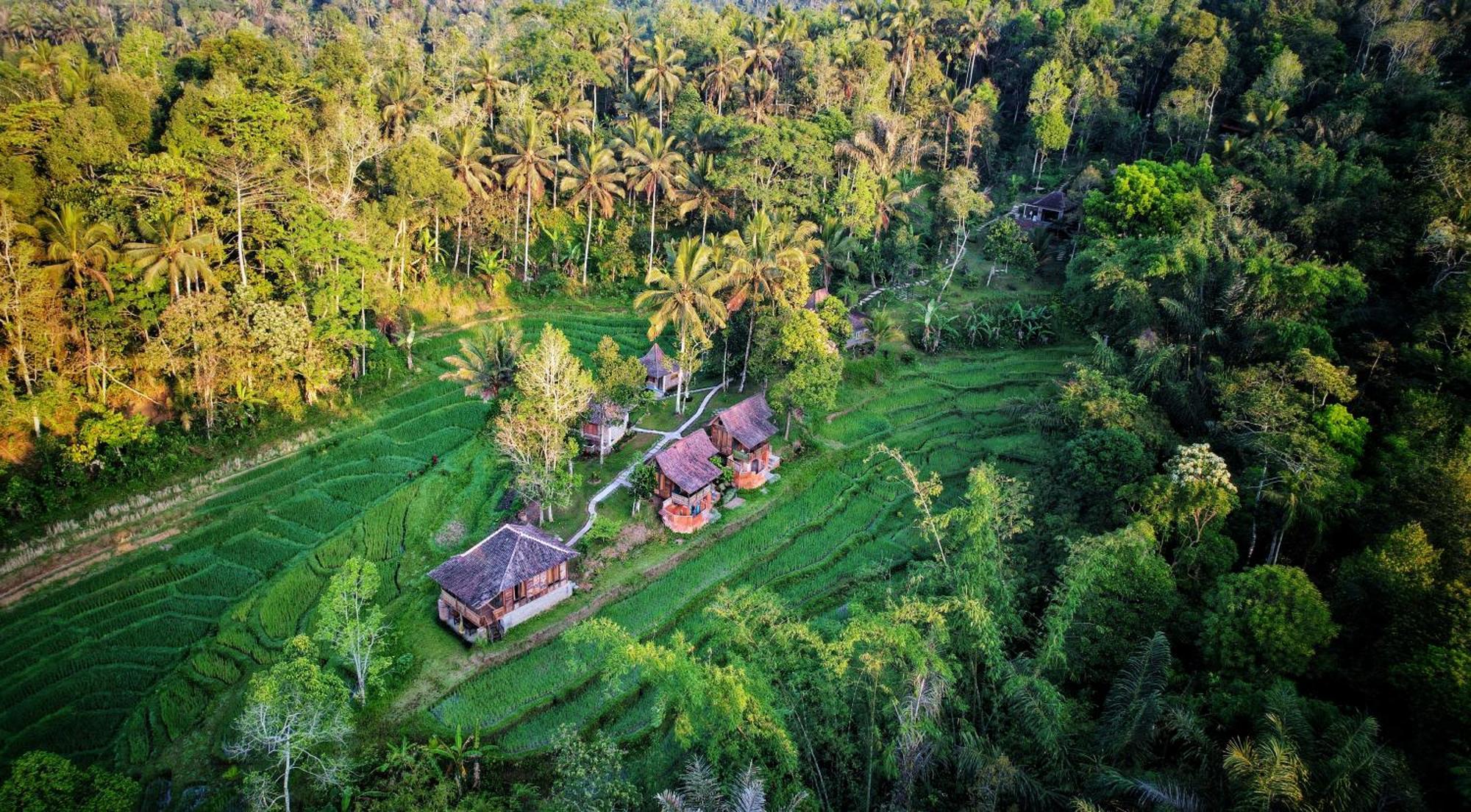 Oemah Tepi Sawah *
