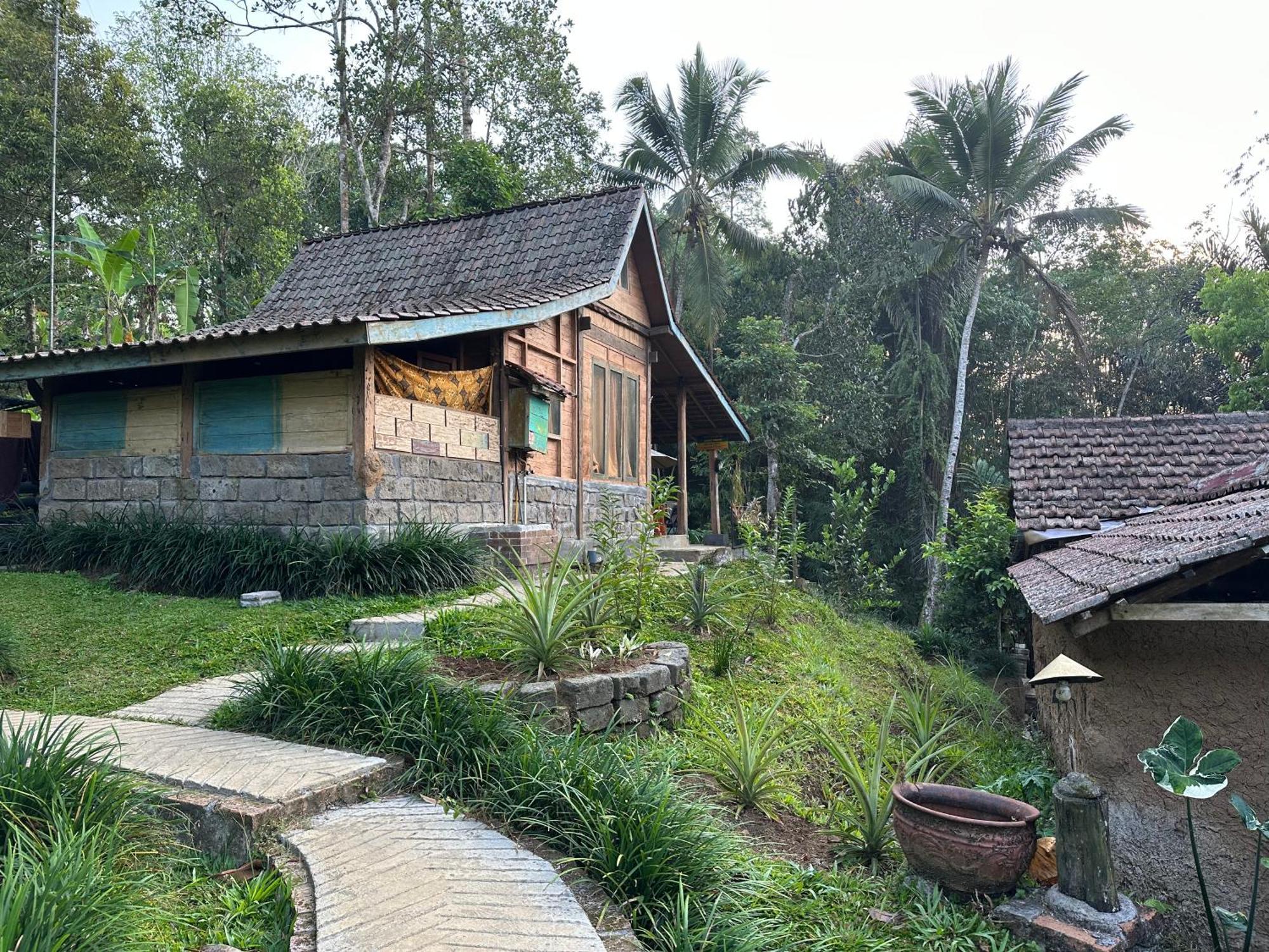 Oemah Tepi Sawah Jatiluwih