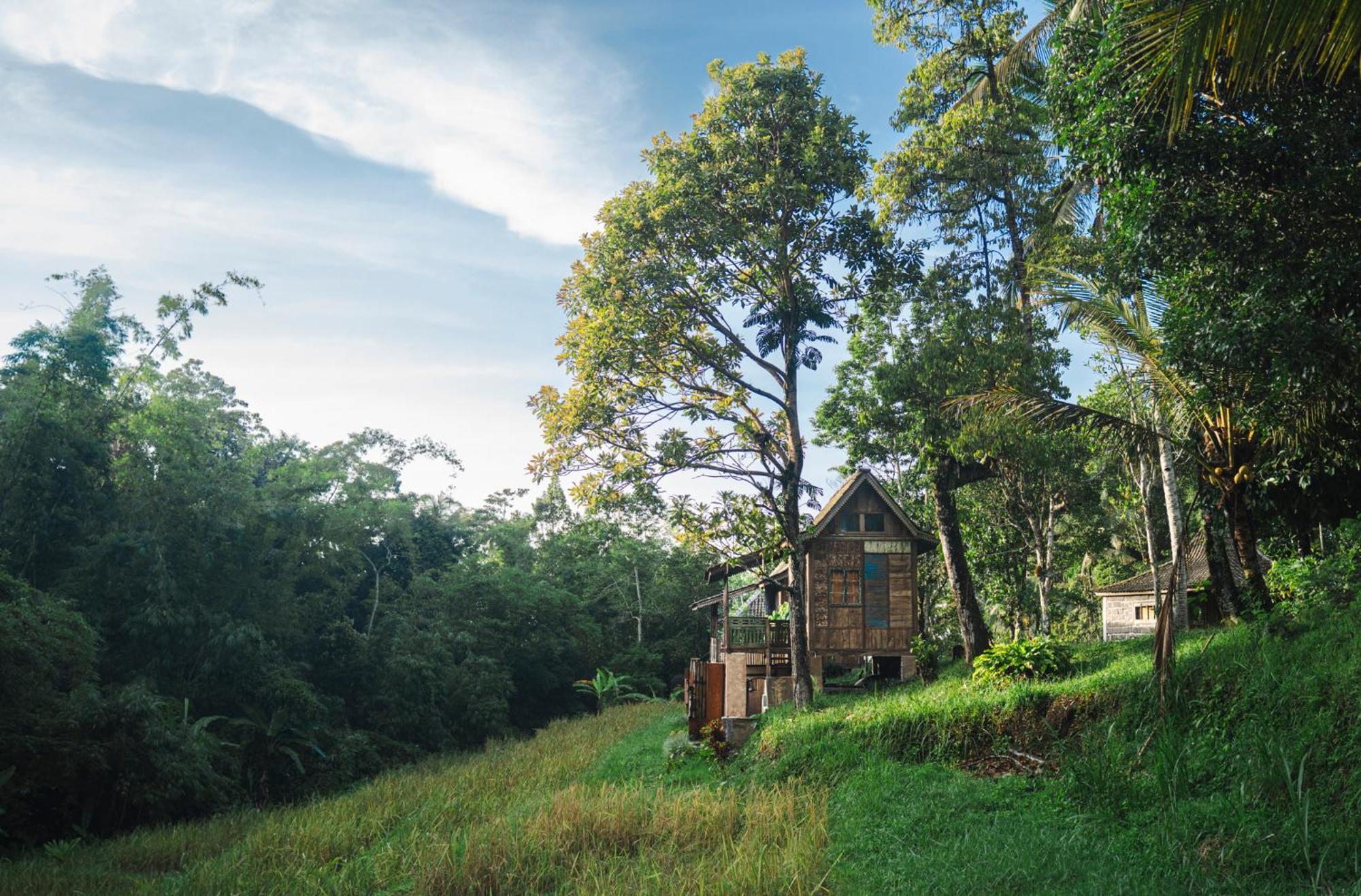 Oemah Tepi Sawah Lodge